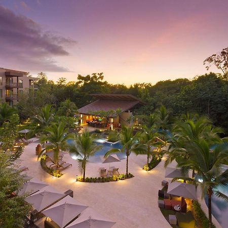 Botanika Osa Peninsula, Curio Collection By Hilton Hotel Puerto Jimenez Luaran gambar