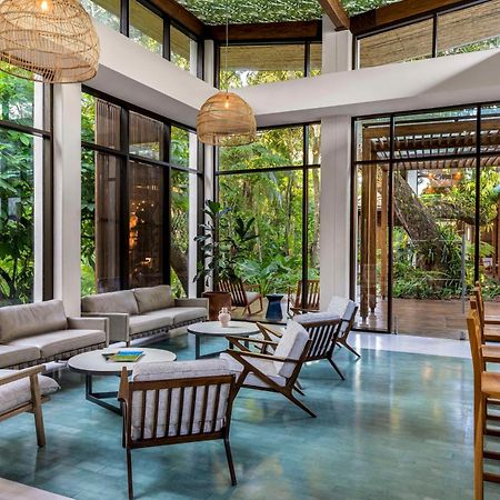 Botanika Osa Peninsula, Curio Collection By Hilton Hotel Puerto Jimenez Luaran gambar