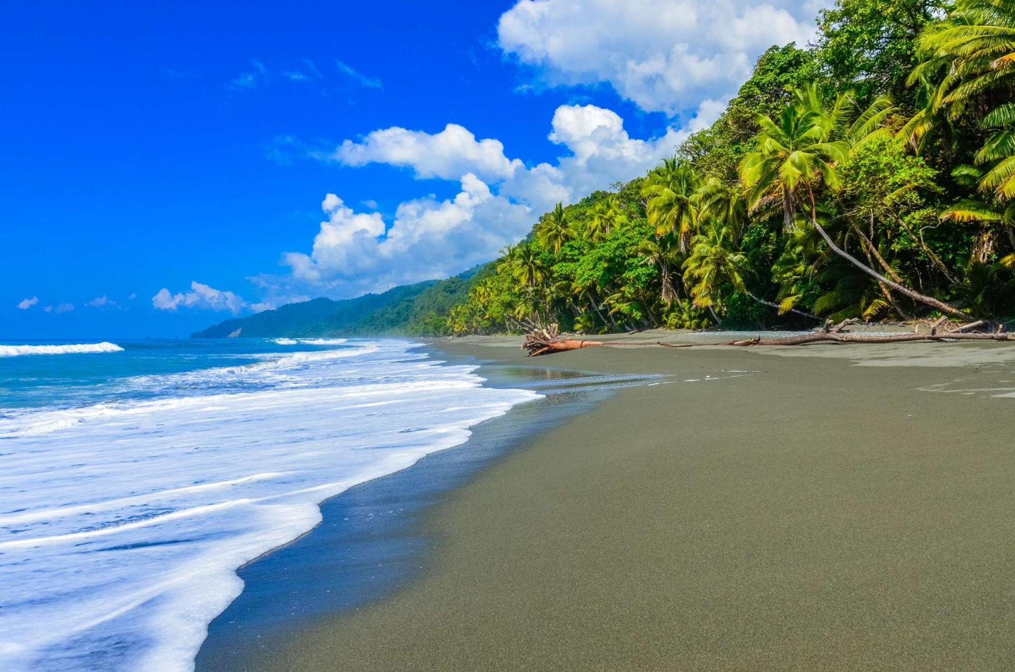 Botanika Osa Peninsula, Curio Collection By Hilton Hotel Puerto Jimenez Luaran gambar