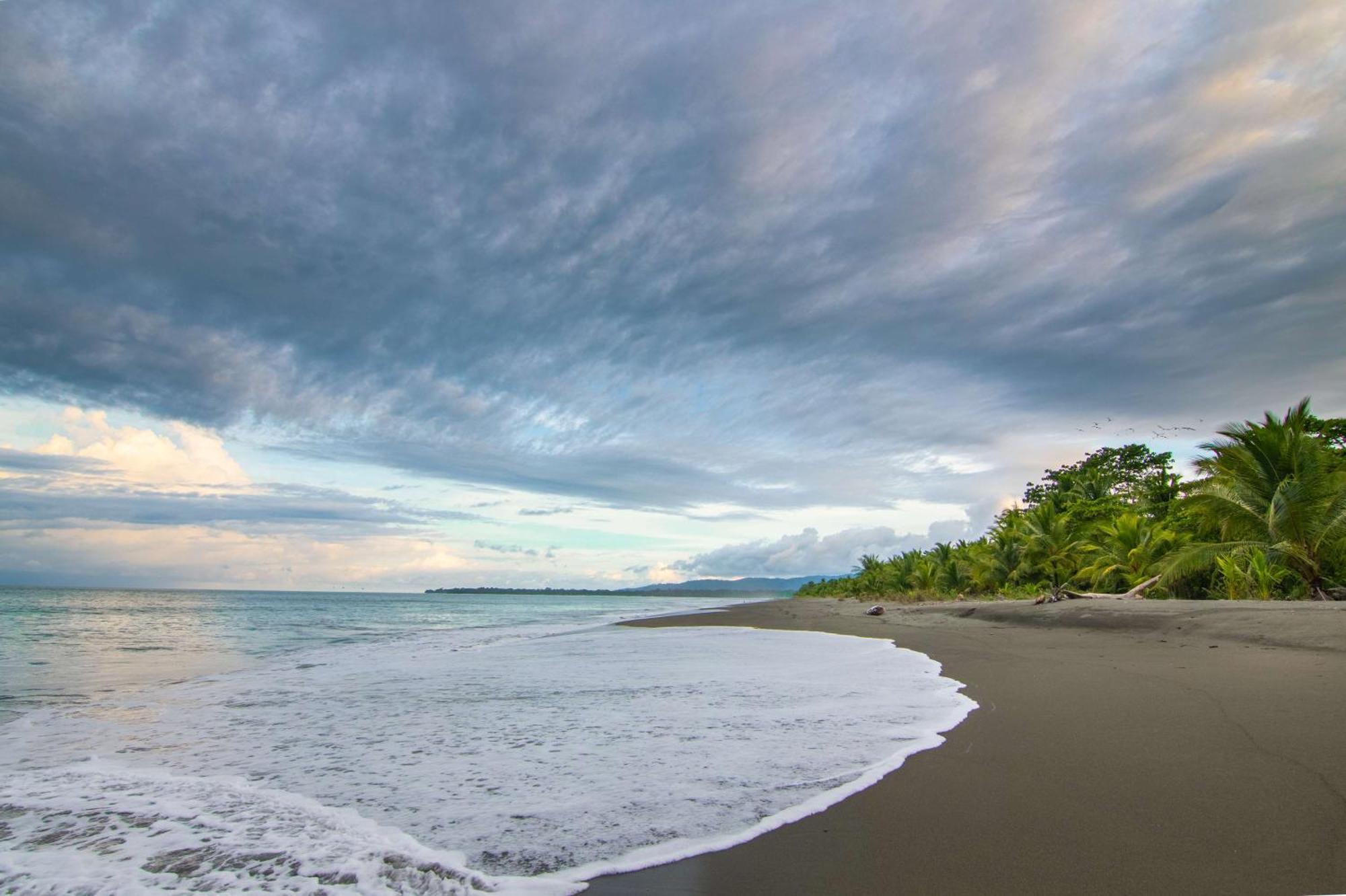 Botanika Osa Peninsula, Curio Collection By Hilton Hotel Puerto Jimenez Luaran gambar