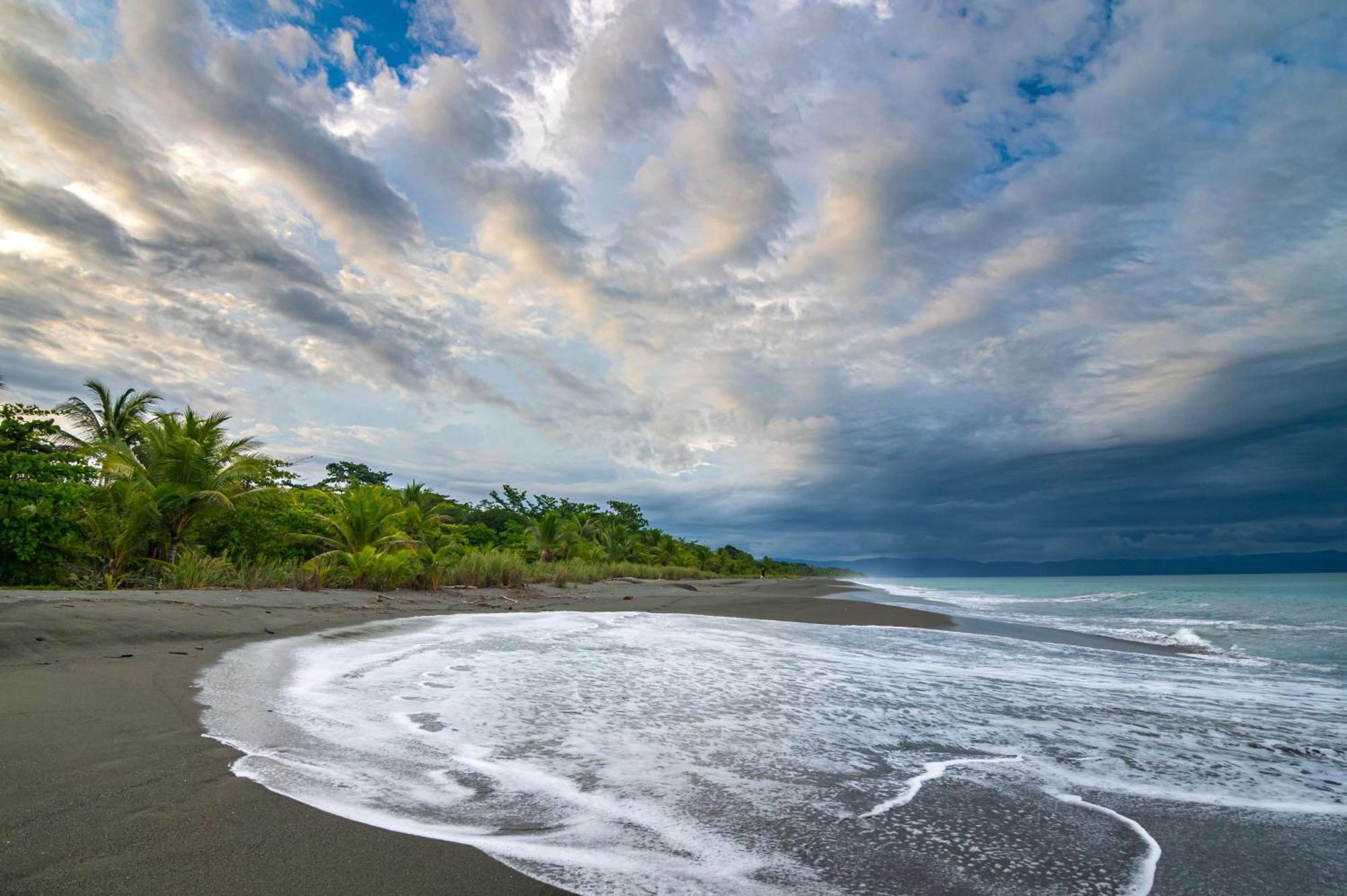 Botanika Osa Peninsula, Curio Collection By Hilton Hotel Puerto Jimenez Luaran gambar