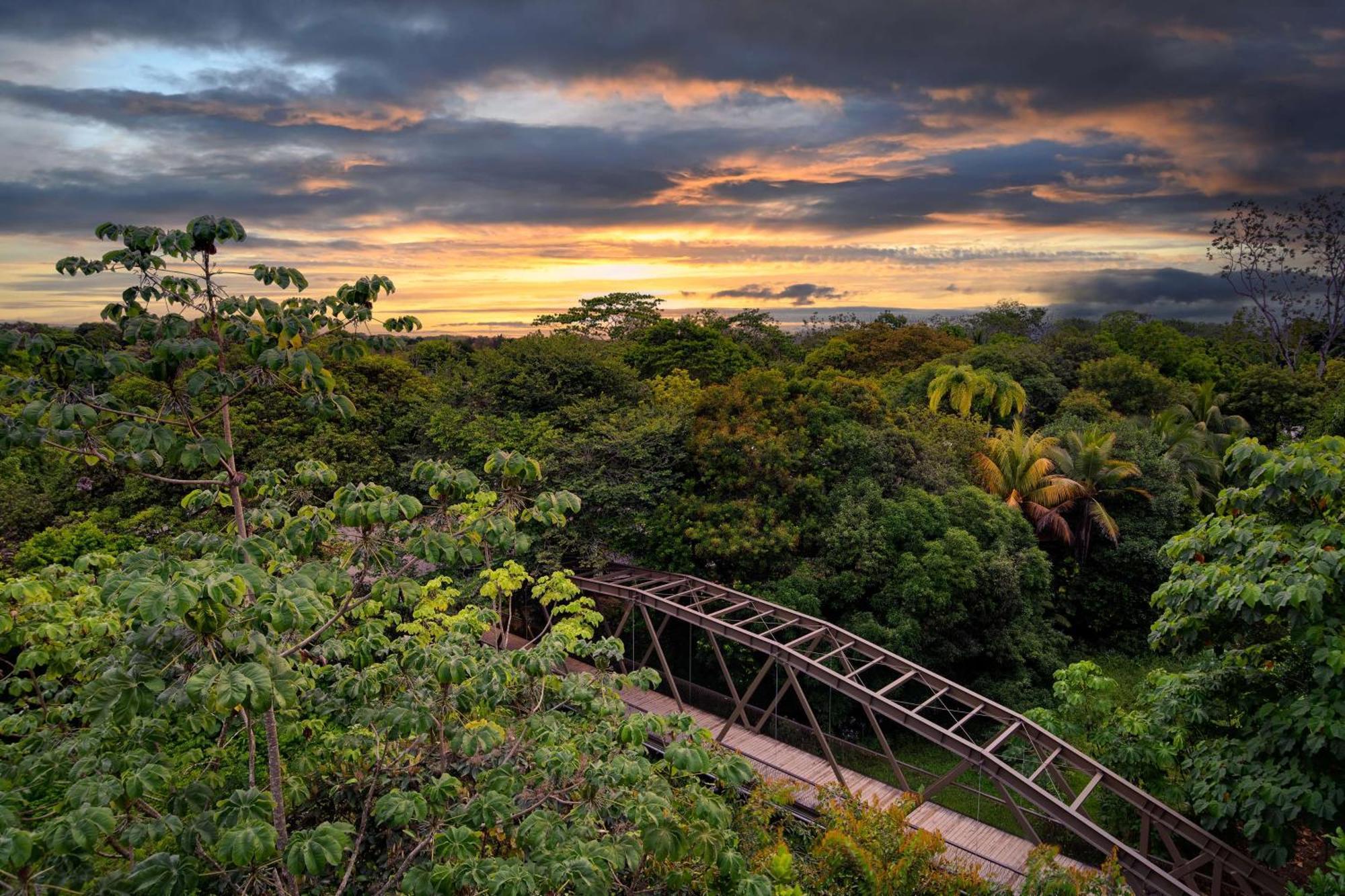 Botanika Osa Peninsula, Curio Collection By Hilton Hotel Puerto Jimenez Luaran gambar